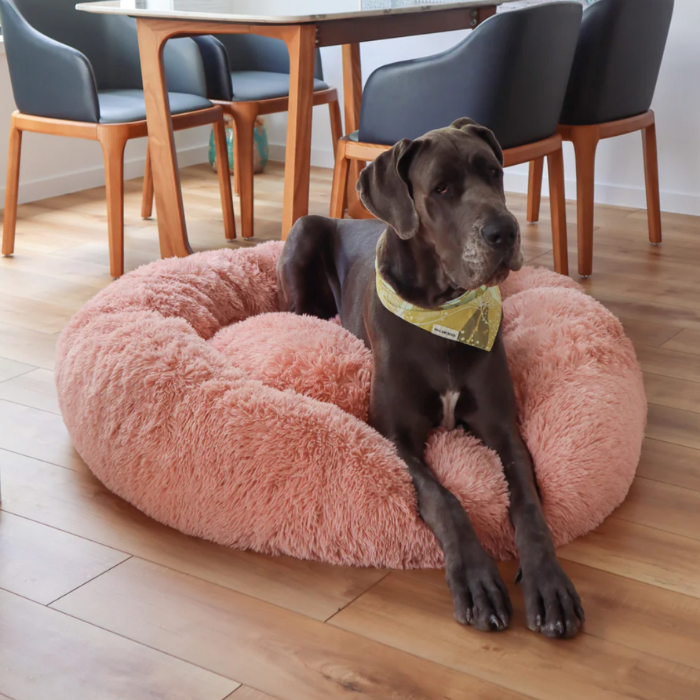 Plush Calming Dog Bed