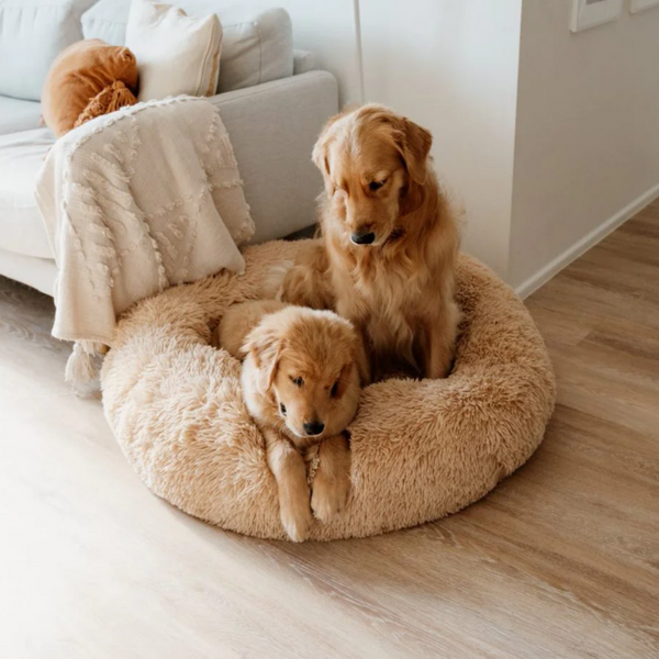 Plush Calming Dog Bed