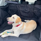 Heavy Duty Boot Interior Protector For Pets