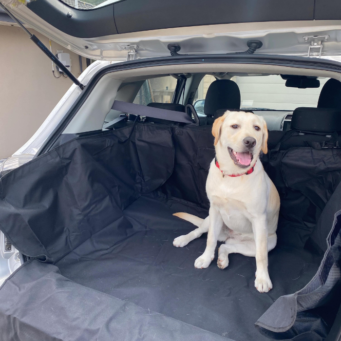 Heavy Duty Boot Interior Protector For Pets