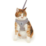 Adventure Cat Harness