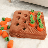 Carrot Farm Patch