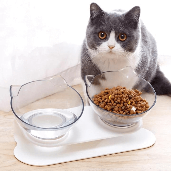 WhiskerBowl™ - Anti-Vomiting Cat Feeder