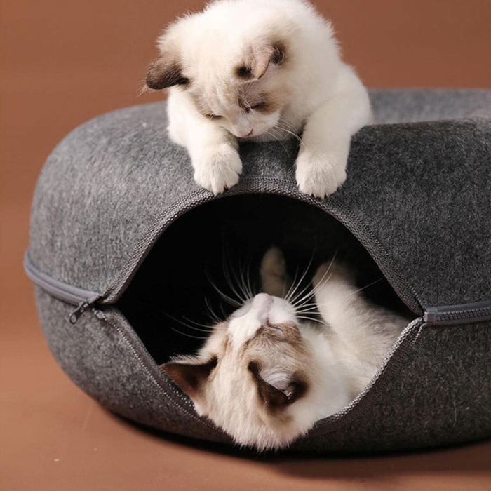 3-In-1 Cat Bed Tunnel