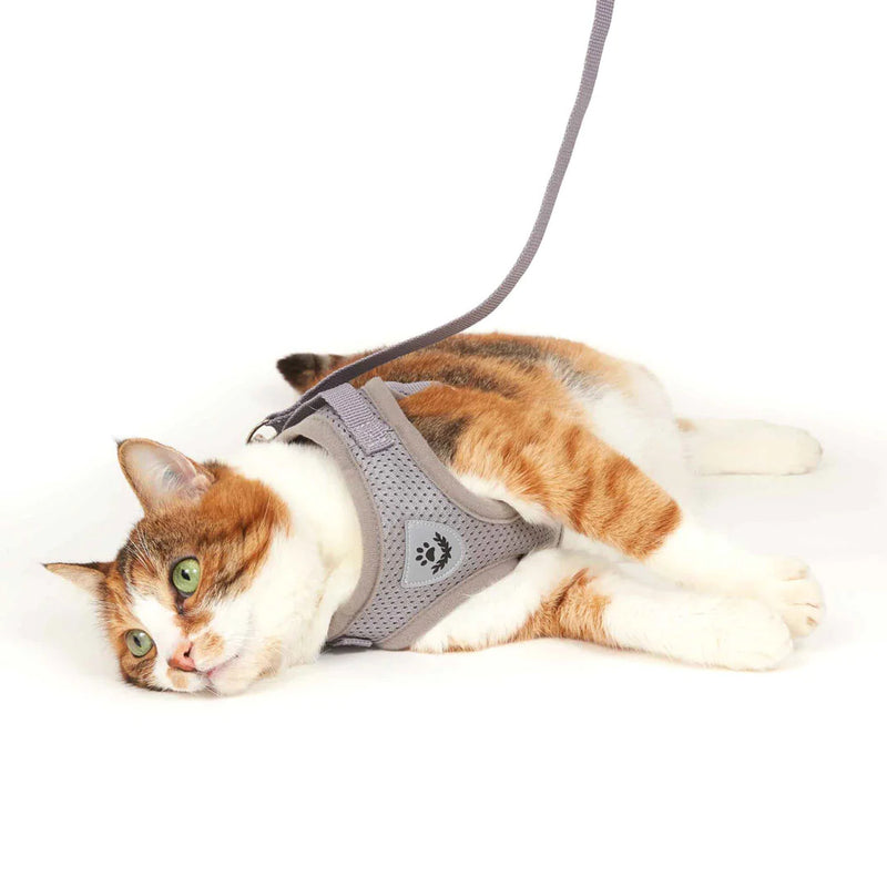 Adventure Cat Harness