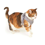 Adventure Cat Harness