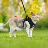 Adventure Cat Harness